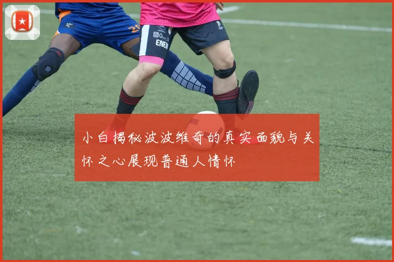 小白揭秘波波维奇的真实面貌与关怀之心展现普通人情怀